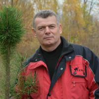 Отзыв от Анатолий - DTV виза